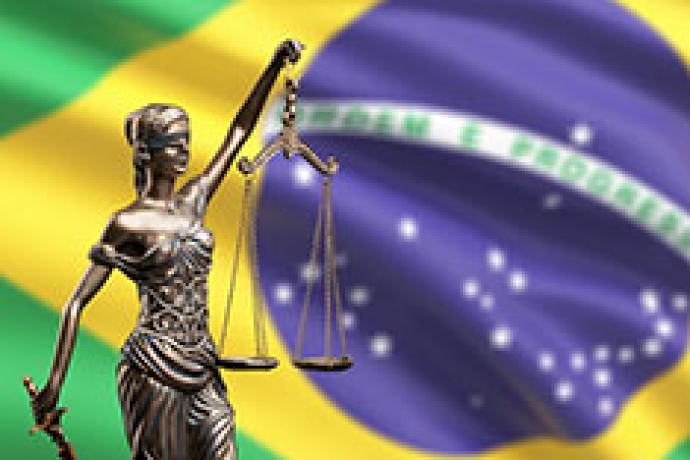 Normas do direito brasileiro em foco